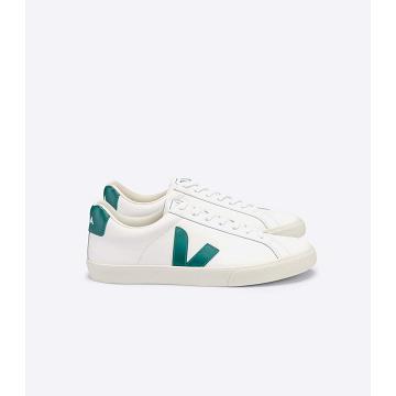 Veja ESPLAR LEATHER Men's Sneakers White/Green | CA 305ZUT